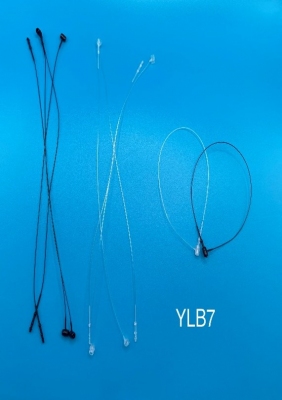 TI XỎ ĐẦU NHỌN VÀ TRÒN